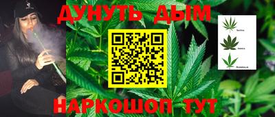 крисы Ипатово