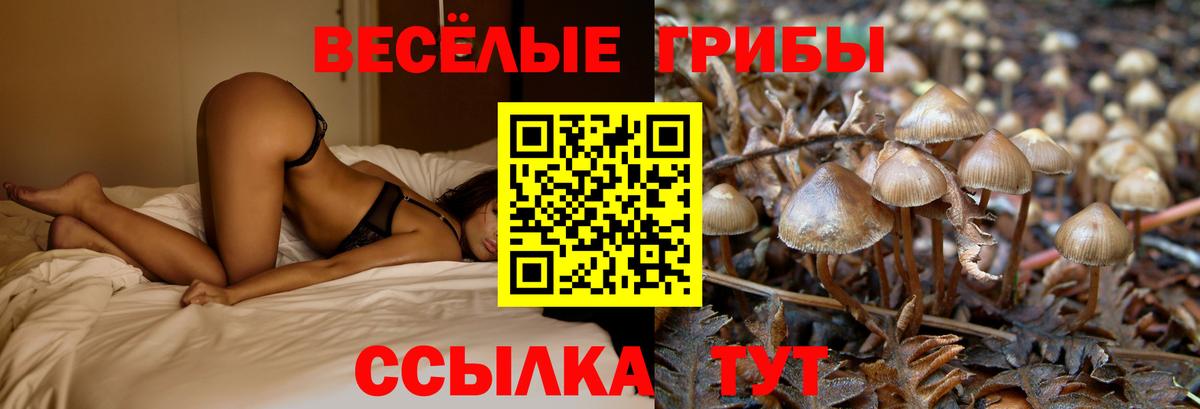Галлюциногенные грибы Magic Shrooms Георгиевск